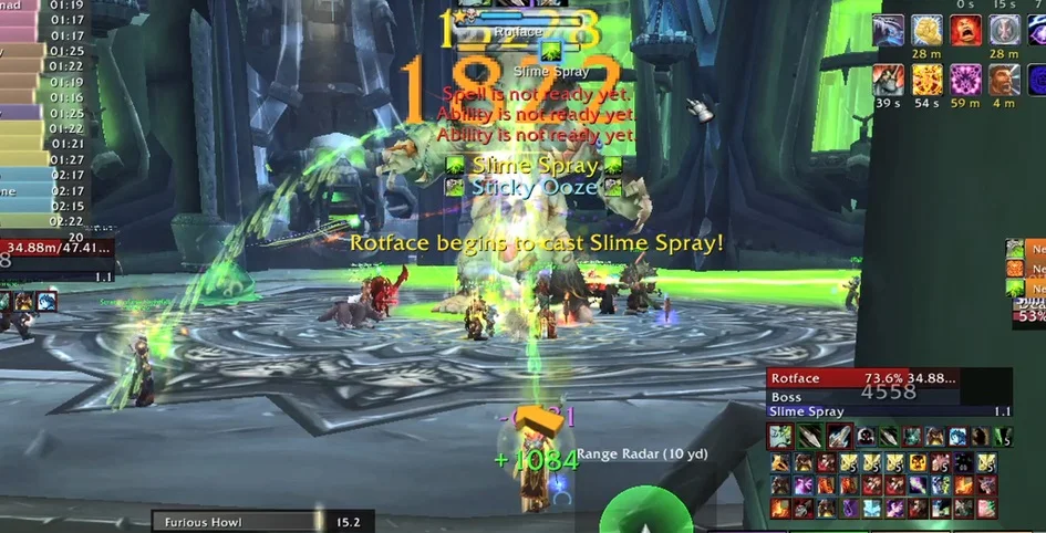 rotfejs